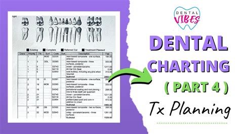 avs dental plan fee schedule